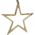 Floristik24 Christmas decoration star, advent decoration, star pendant Golden B15.5cm