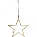 Floristik24 Christmas decoration star, Advent decoration, star pendant Golden B24.5cm