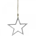 Floristik24 Christmas decoration star, advent decoration, star pendant silver W24.5cm