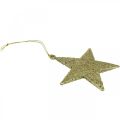 Floristik24 Christmas decoration star pendant golden glitter 10cm 12pcs