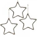 Floristik24 Christmas decoration star white washed stars to hang up elm 30cm 4pcs