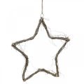 Floristik24 Christmas decoration star white washed stars to hang up elm 30cm 4pcs