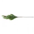Floristik24 Cypress branches artificial Christmas branch with cones 78cm