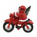 Floristik24 Decorative figure Santa Claus on motorbike with fir tree 19.5×13×16cm