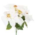 Floristik24 Artificial poinsettia, white, large bloom, decorative plant, 40cm