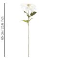 Artificial white poinsettia, large flowering branch decoration, 65cm, 2 pieces | Floristik24.ie