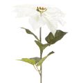Artificial white poinsettia, large flowering branch decoration, 65cm, 2 pieces | Floristik24.ie