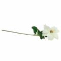 Poinsettia artificial flower white 67cm | Floristik24.ie