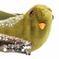 Floristik24 Christmas decoration bird on clip green, glitter 12cm 6pcs assorted