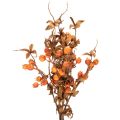 Artificial hawthorn branch, autumn decoration, 75cm | Floristik24.ie