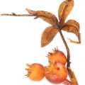 Artificial hawthorn branch,