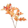 Floristik24 Artificial hawthorn branch with leaves and berries, 62cm