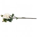 Floristik24 White roses artificial rose large with three buds 57cm