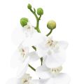 Floristik24 White Artificial Orchid Phalaenopsis Real Touch 32cm
