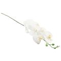 Floristik24 White Artificial Orchid Phalaenopsis Real Touch 85cm