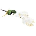 Floristik24 White Orchid on Pick Artificial Phalaenopsis Real Touch 39cm
