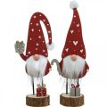 Floristik24 Wooden gnome decoration Christmas gnome H26/30cm 2pcs