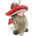 Floristik24 Decorative gnome ceramic to hang with mushroom hat red, white H8cm 4pcs