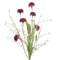 Floristik24 Meadow flowers red L60cm 3pcs
