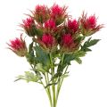 Floristik24 Artificial red thistle branch for decoration, 67cm, 3 pieces