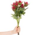 Artificial red thistle branch for decoration, 67cm, 3 pieces | Floristik24.ie