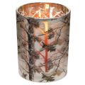 Glass lantern with branch