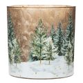 Glass tealight holder with fir
