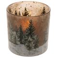 Glass tealight holder with fir