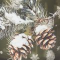 Glass tealight holder with pine cones and snowflakes, 15cm | Floristik24.ie