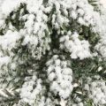 Winter decoration Christmas tree in green white Ø7cm H14cm 4pcs | Floristik24.ie