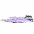 Floristik24 Garland wisteria lilac 175cm 2pcs