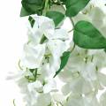 Floristik24 Garland wisteria white 175cm 2pcs