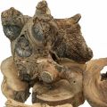 Floristik24 Root wood deco wood pieces of wood scattered decoration 3-10cm 500g