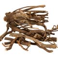 Floristik24 Decorative wooden branches and rootstocks, naturally dried, 18cm, 500g
