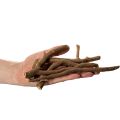 Decorative wooden branches and rootstocks, naturally dried, 18cm, 500g | Floristik24.ie