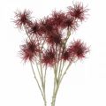 Floristik24 Xanthium artificial flower autumn decoration red 6 blossoms 80cm 3pcs