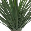 Floristik24 Artificial yucca palm in pot Artificial palm potted plant H52cm