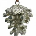 Floristik24 Pine cone decorative cones for hanging silver H6cm