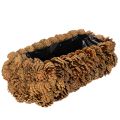 Floristik24 Rectangular planter box for planting, 40cm