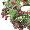 Floristik24 Cones wreath with berries covered with snow Ø27cm