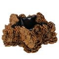 Floristik24 Pine cone planter, star shape, 30cm