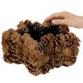 Pine cone planter, star shape, 30cm | Floristik24.ie