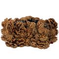 Pine cone planter, star shape,