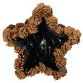 Pine cone planter, star shape,