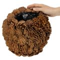 Decorative planter with pine cones, natural look, 27cm. Round pine cone pot, natural brown, made from pine cones, 27cm x 22cm. | Floristik24.ie