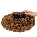 Round pine cone pot as a planter, 38cm; round pine cone pot, natural brown, made from pine cones, 38cm x 14cm | Floristik24.ie