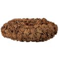 Round pine cone pot as a