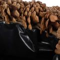 Round pine cone pot as a