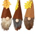 Floristik24 Cone Gnome Pendant Gnome Decoration Autumn Gnome H10cm 6pcs