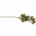 Floristik24 Cone Branch Green 33cm Artificial plant like the real thing!